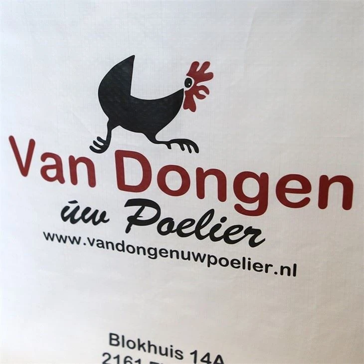 Laminated Pp Woven Cooler Bag